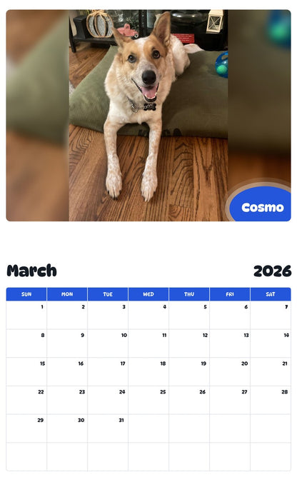 November 2025 - October 2026 Cosmo - Pawidols Pet Calendar
