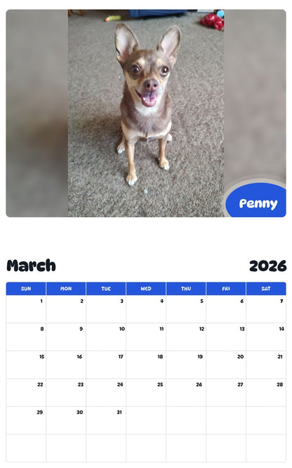 November 2025 - October 2026 Penny - Pawidols Pet Calendar
