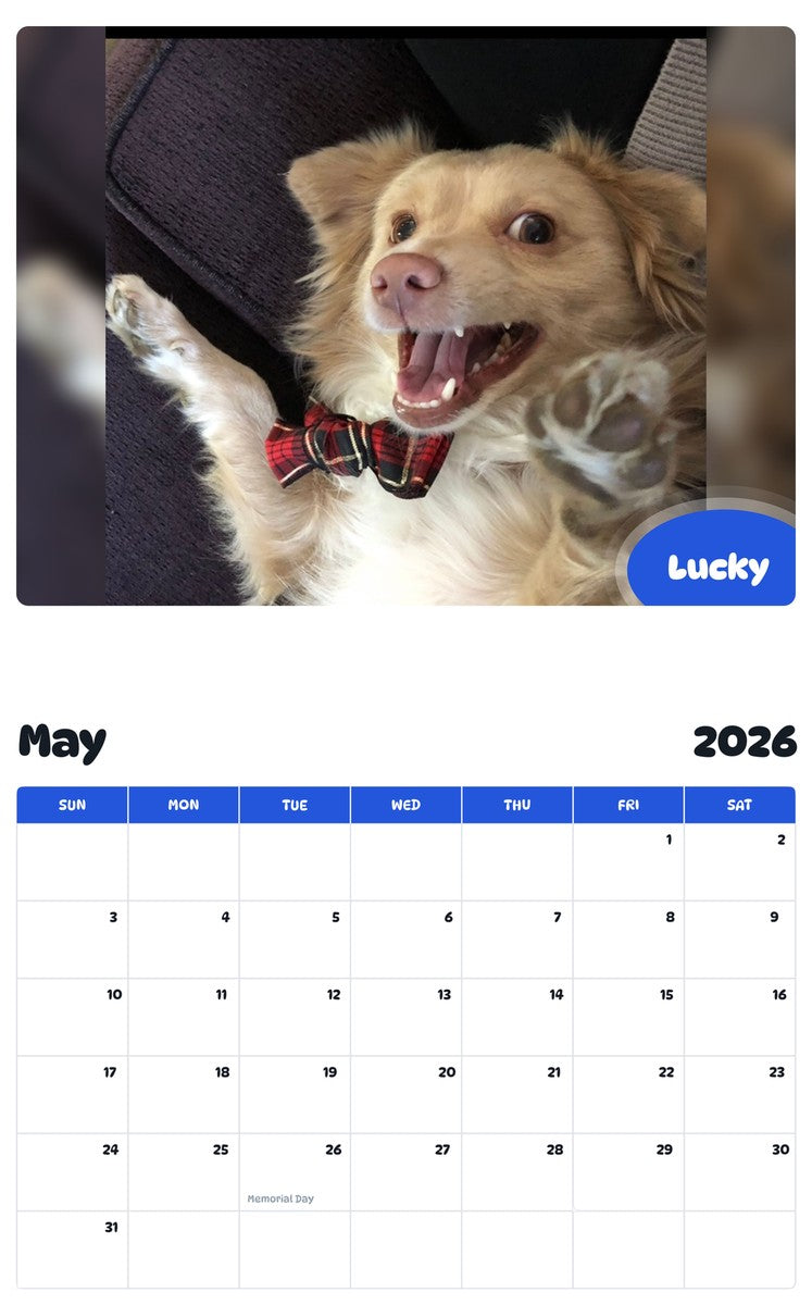 2026 - 2027 Lucky - Pawidols Pet Calendar