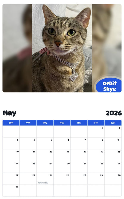 2026 - 2027 Orbit Skye - Pawidols Pet Calendar