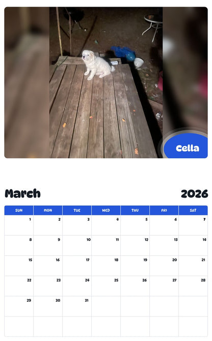 November 2025 - October 2026 Cella - Pawidols Pet Calendar