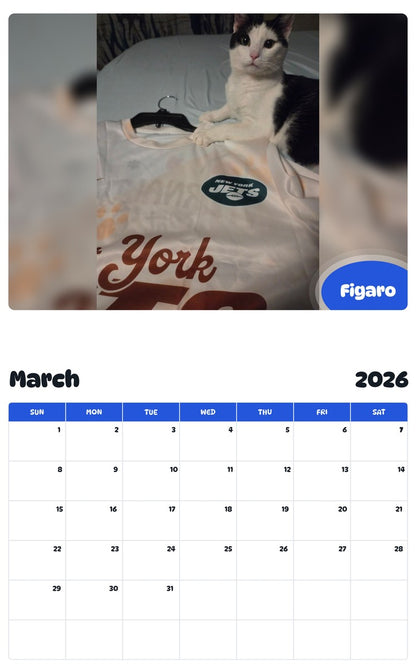 November 2025 - October 2026 Figaro - Pawidols Pet Calendar