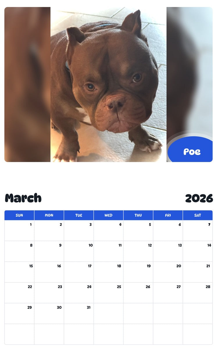 November 2025 - October 2026 Poe - Pawidols Pet Calendar