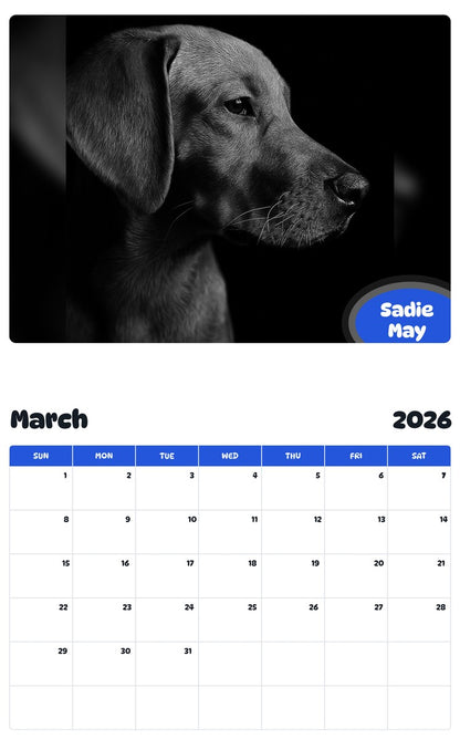 November 2025 - October 2026 Sadie May - Pawidols Pet Calendar