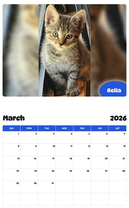 November 2025 - October 2026 Bella - Pawidols Pet Calendar