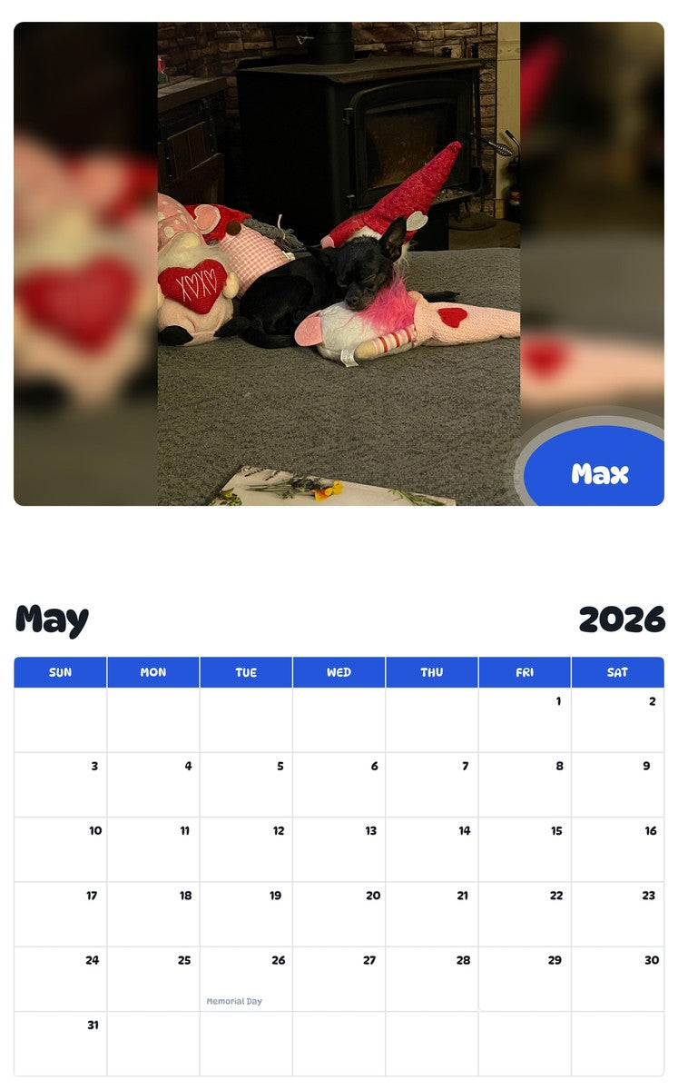 2026 - 2027 Max - Pawidols Pet Calendar