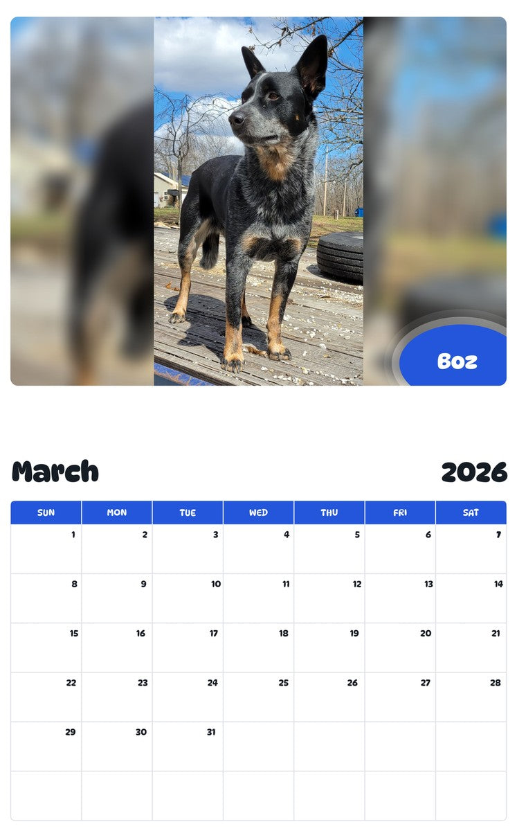 November 2025 - October 2026 Boz - Pawidols Pet Calendar