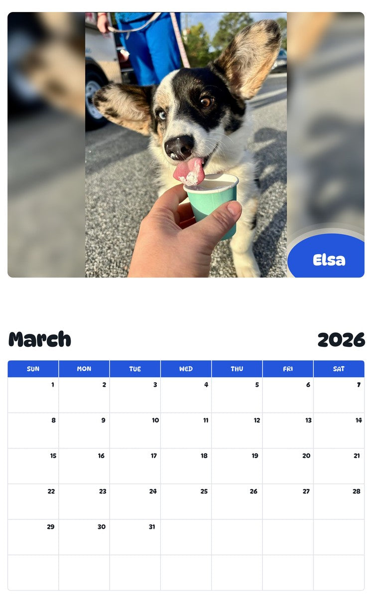 November 2025 - October 2026 Elsa - Pawidols Pet Calendar