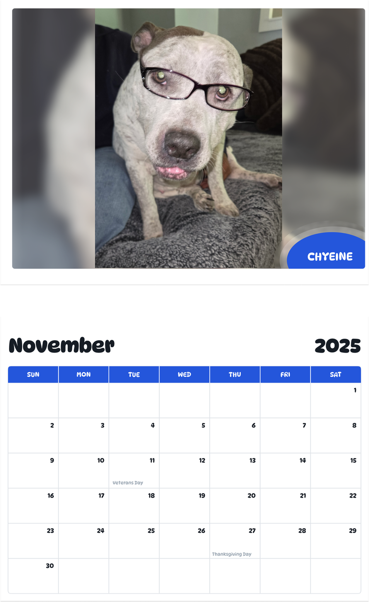 July 2025 - June 2026 Chyeine - Pawidols Pet Calendar