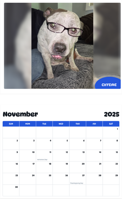 July 2025 - June 2026 Chyeine - Pawidols Pet Calendar
