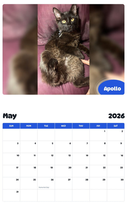 2026 - 2027 Apollo - Pawidols Pet Calendar