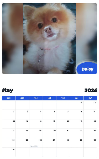 2026 - 2027 Daisy - Pawidols Pet Calendar