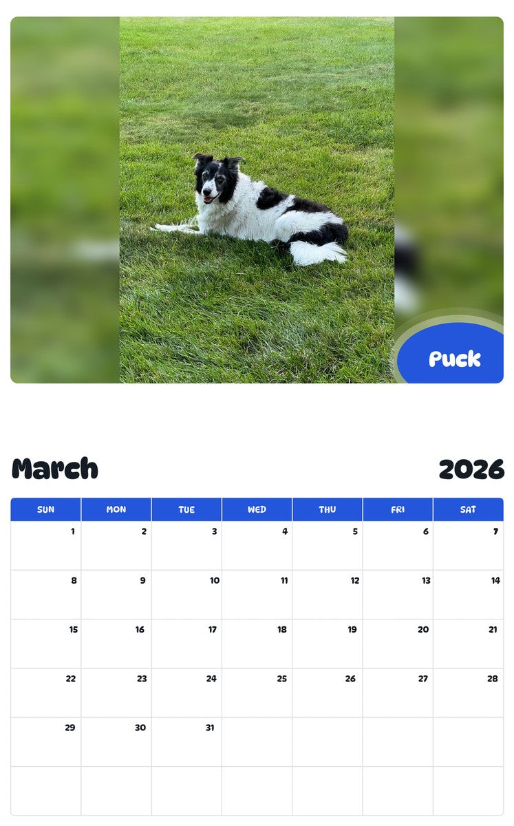 November 2025 - October 2026 Puck - Pawidols Pet Calendar