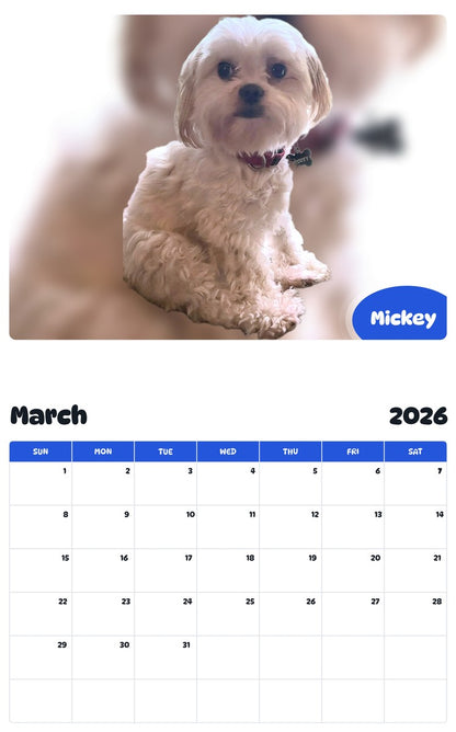 November 2025 - October 2026 Mickey - Pawidols Pet Calendar