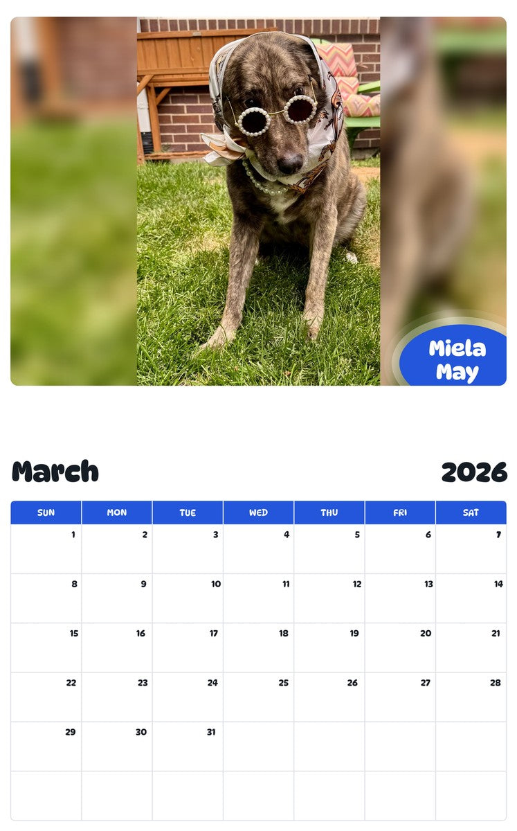 November 2025 - October 2026 Miela May - Pawidols Pet Calendar