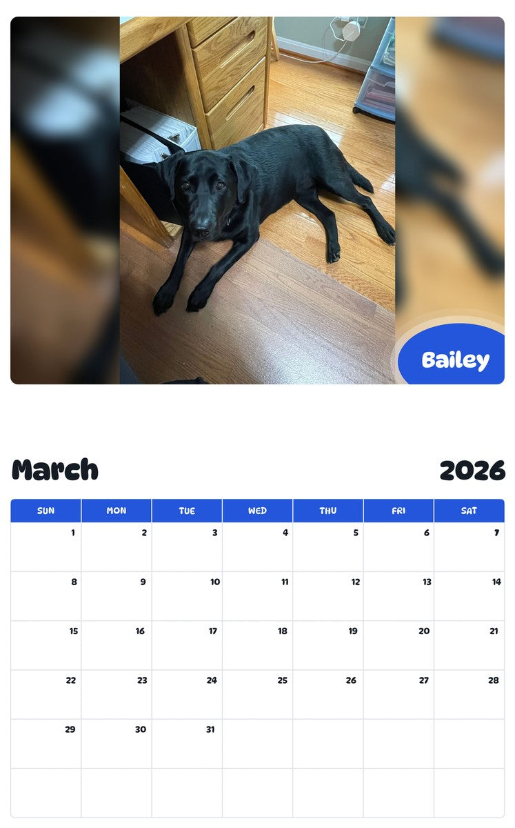 November 2025 - October 2026 Bailey - Pawidols Pet Calendar