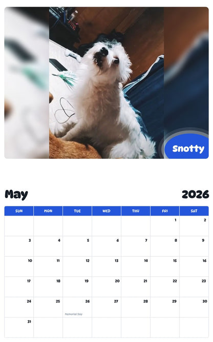 2026 - 2027 Snotty - Pawidols Pet Calendar