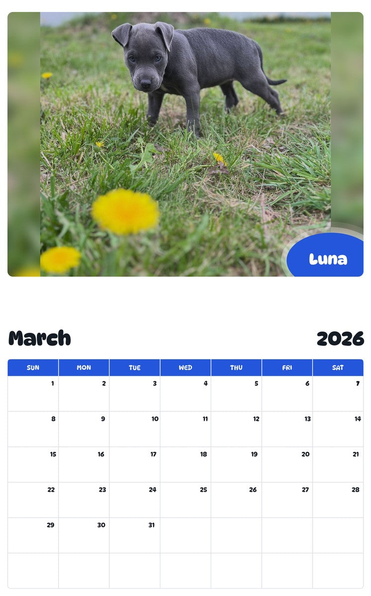 November 2025 - October 2026 Luna - Pawidols Pet Calendar