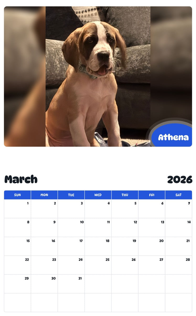 November 2025 - October 2026 Athena - Pawidols Pet Calendar