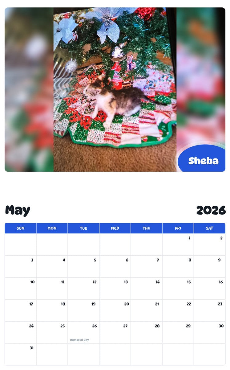 2026 - 2027 Sheba - Pawidols Pet Calendar