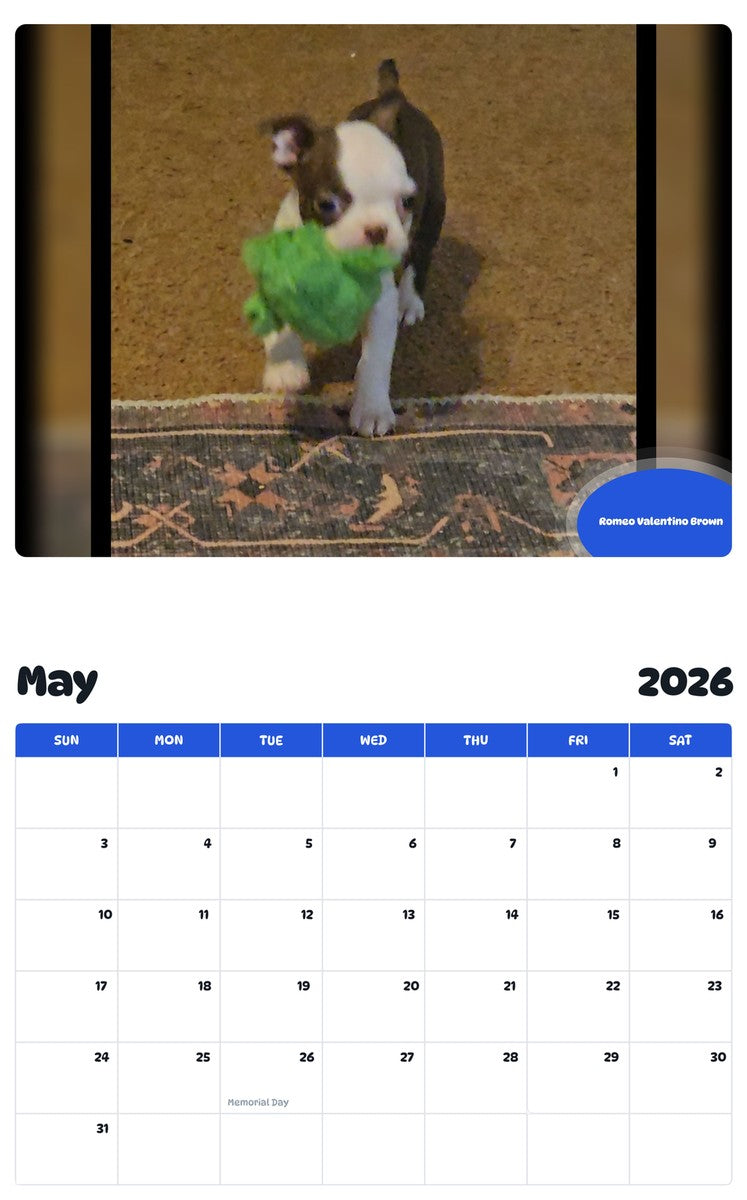 2026 - 2027 Romeo Valentino Brown - Pawidols Pet Calendar