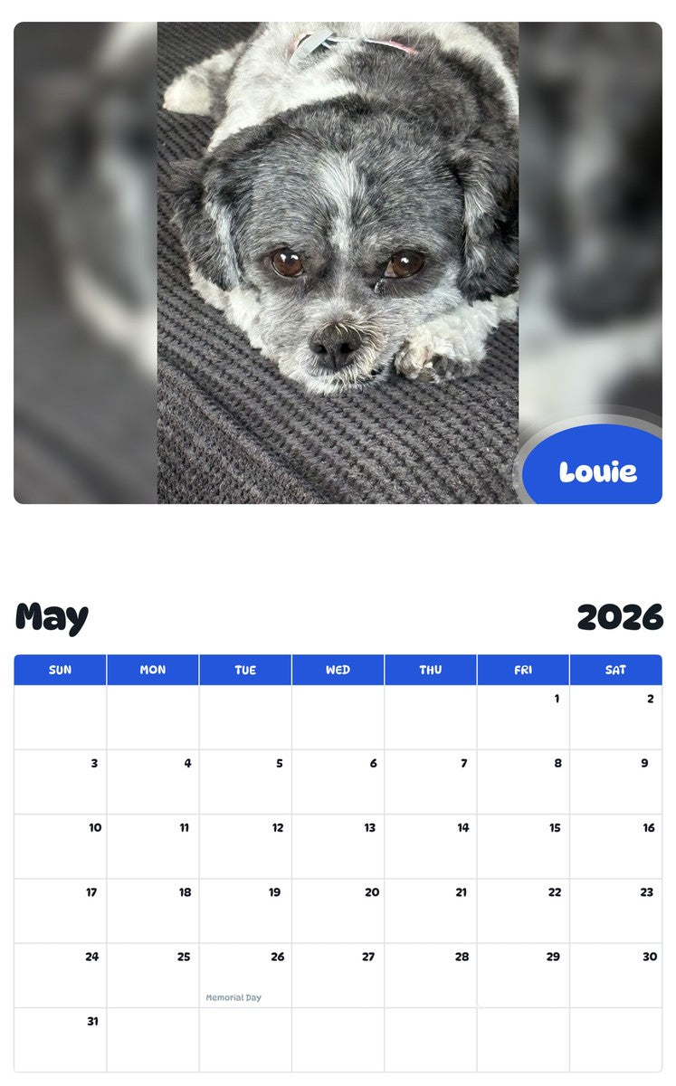 2026 - 2027 Louie - Pawidols Pet Calendar