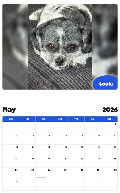 2026 - 2027 Louie - Pawidols Pet Calendar