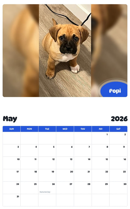 2026 - 2027 Popi - Pawidols Pet Calendar