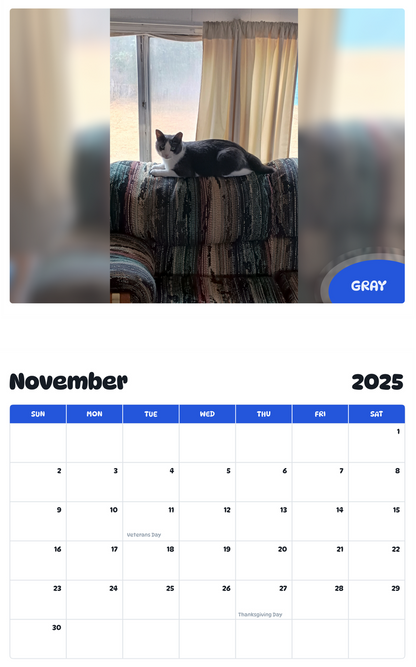 July 2025 - June 2026 Gray - Pawidols Pet Calendar