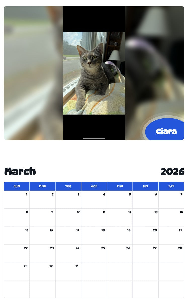 November 2025 - October 2026 Ciara - Pawidols Pet Calendar