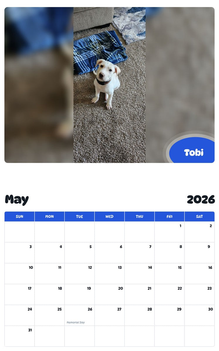 2026 - 2027 Tobi - Pawidols Pet Calendar