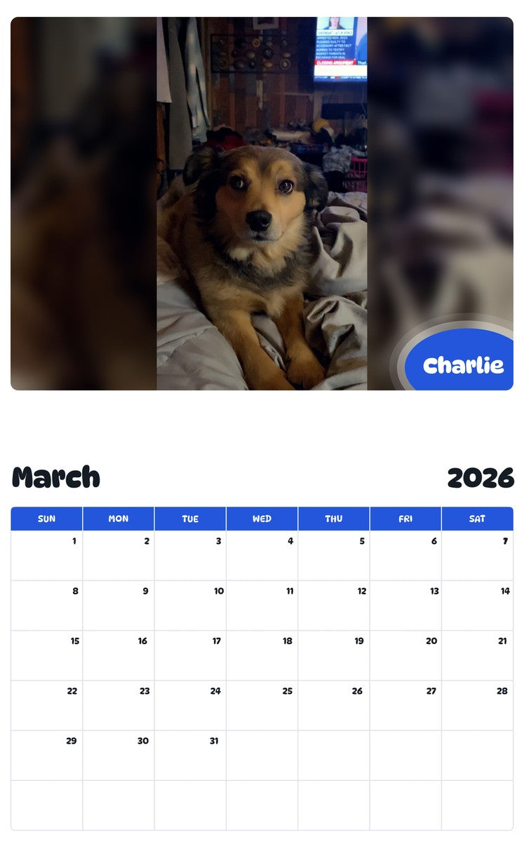 November 2025 - October 2026 Charlie - Pawidols Pet Calendar