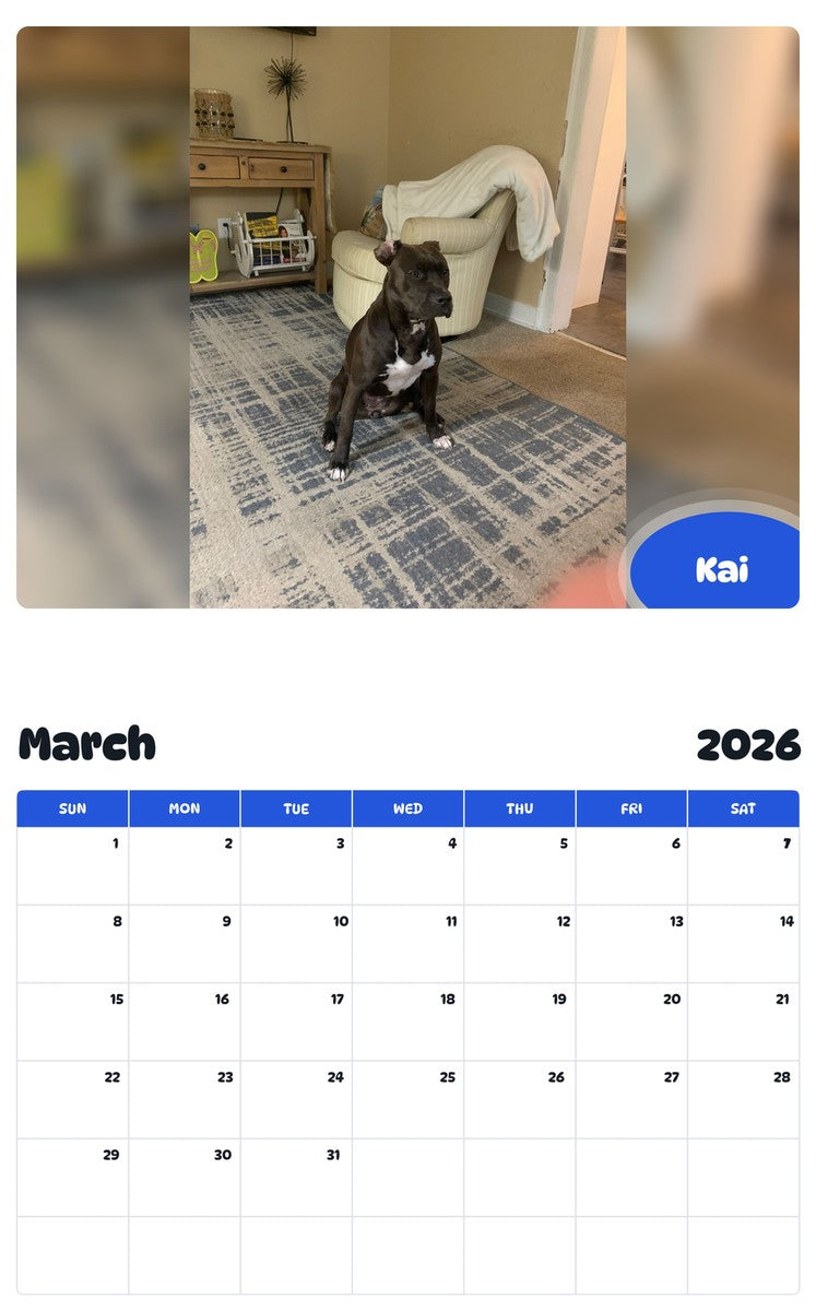 November 2025 - October 2026 Kai - Pawidols Pet Calendar