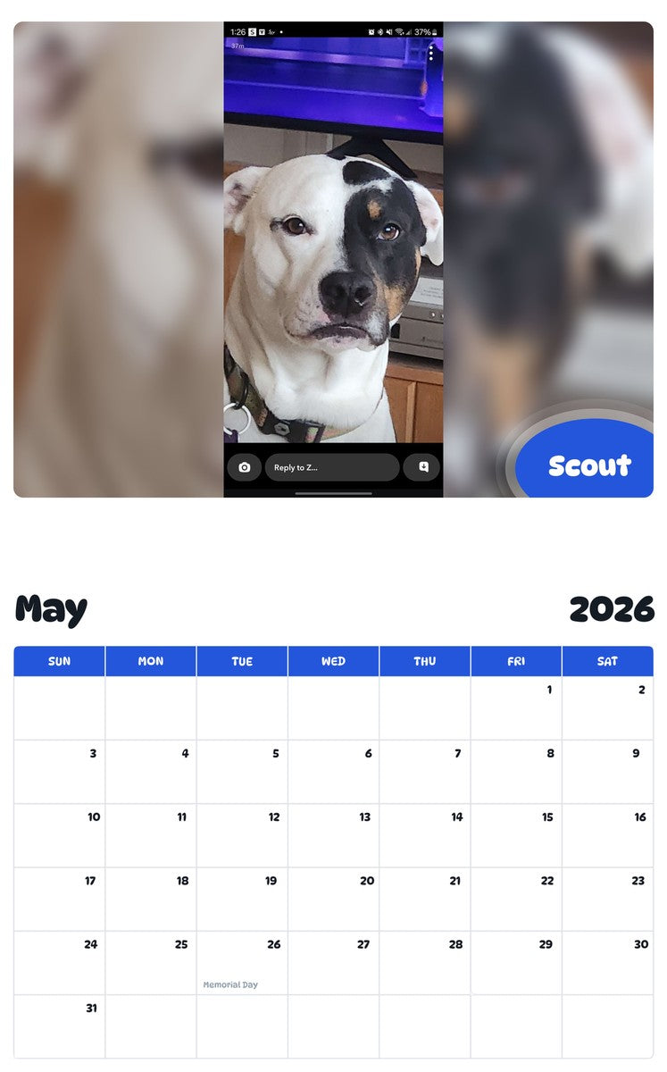 2026 - 2027 Scout - Pawidols Pet Calendar