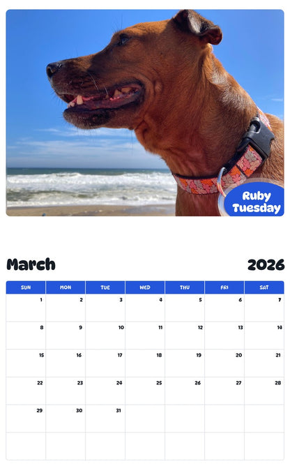 November 2025 - October 2026 Ruby Tuesday - Pawidols Pet Calendar