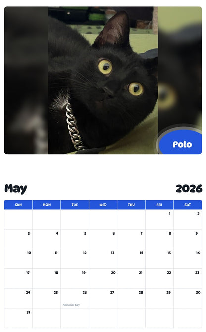 2026 - 2027 Polo - Pawidols Pet Calendar