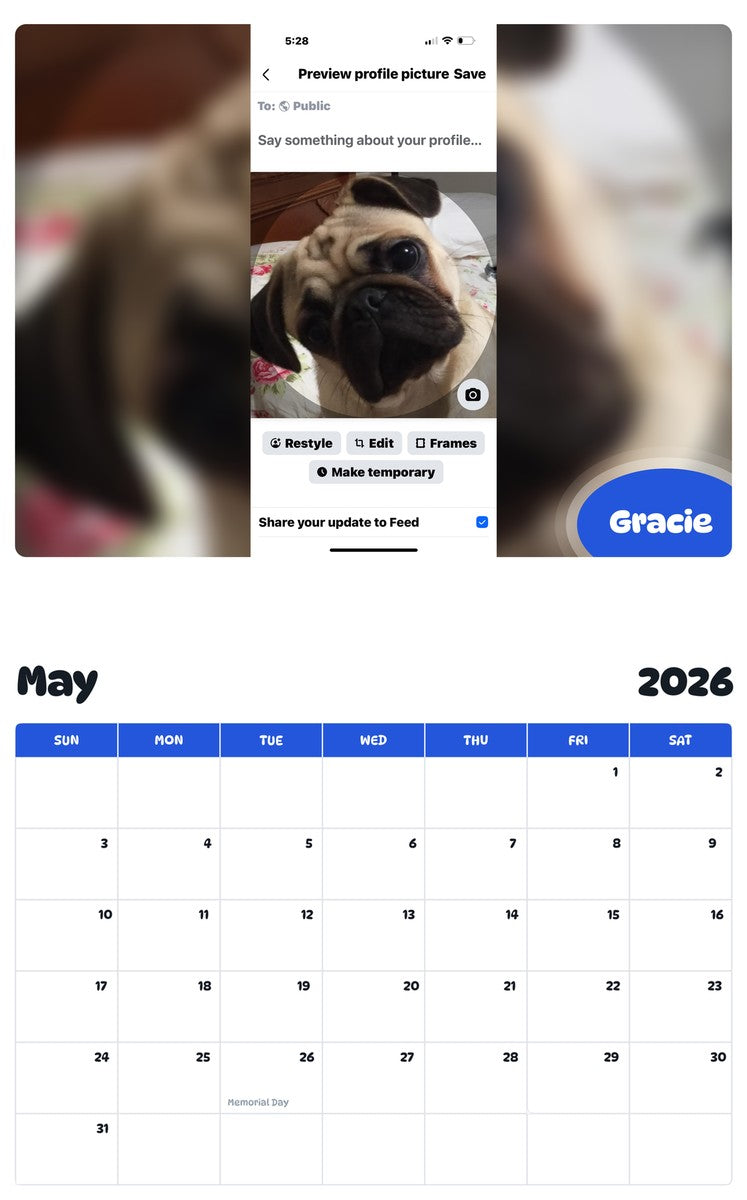 2026 - 2027 Gracie - Pawidols Pet Calendar