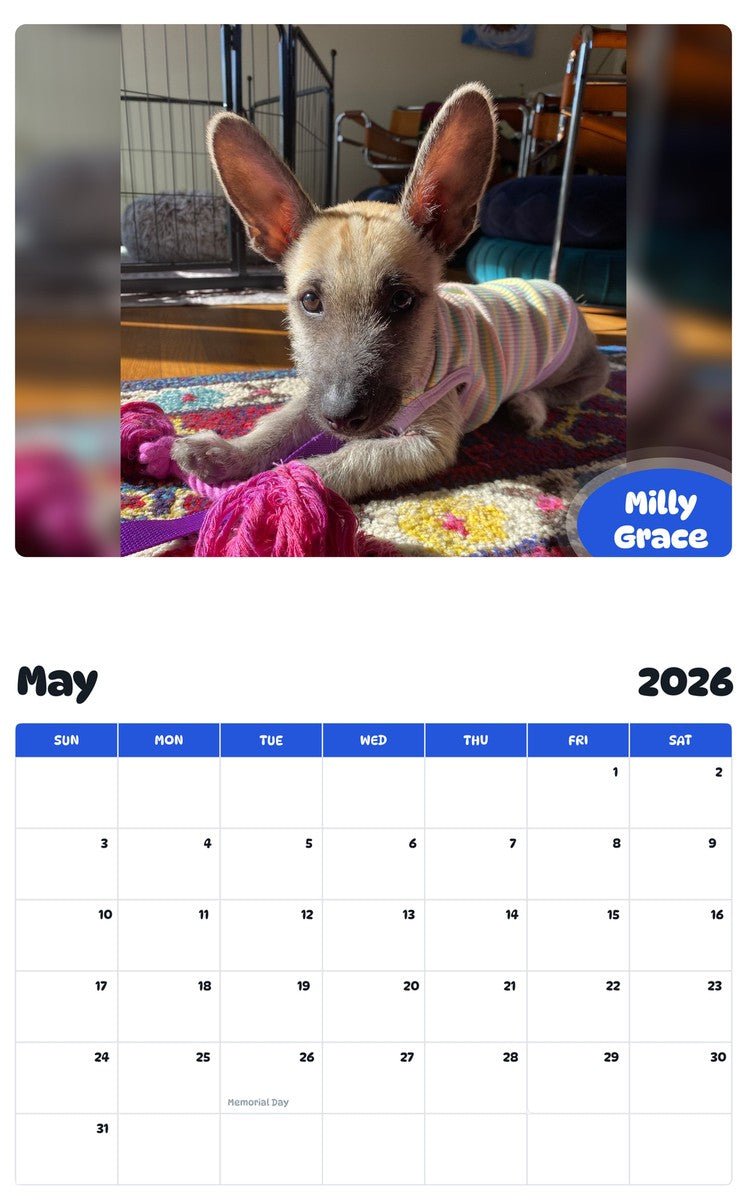 2026 - 2027 Milly Grace - Pawidols Pet Calendar