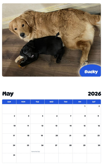 2026 - 2027 Bucky - Pawidols Pet Calendar