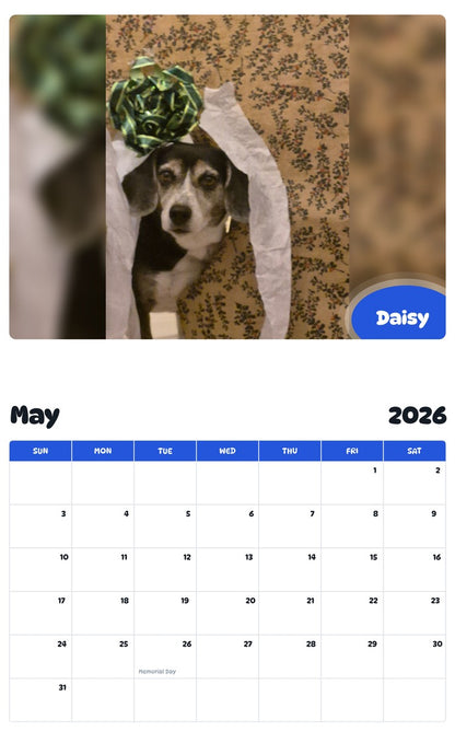 2026 - 2027 Daisy - Pawidols Pet Calendar