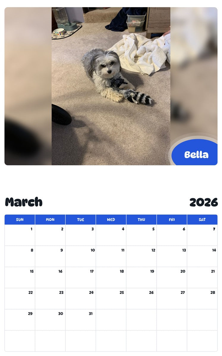 November 2025 - October 2026 Bella - Pawidols Pet Calendar