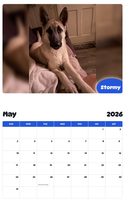 2026 - 2027 Stormy - Pawidols Pet Calendar