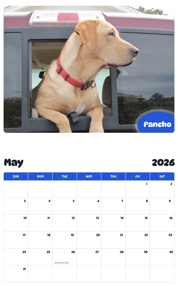 2026 - 2027 Pancho - Pawidols Pet Calendar