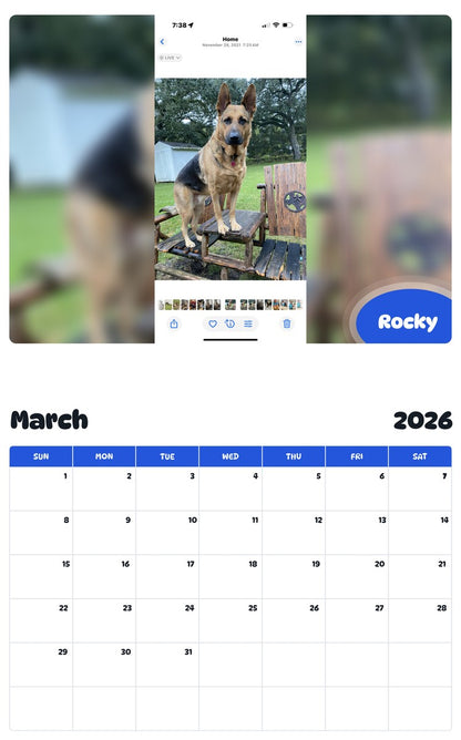 November 2025 - October 2026 Rocky - Pawidols Pet Calendar