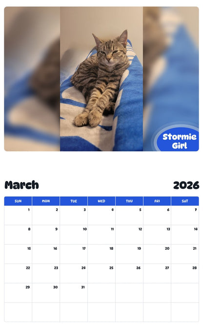 November 2025 - October 2026 Stormie Girl - Pawidols Pet Calendar