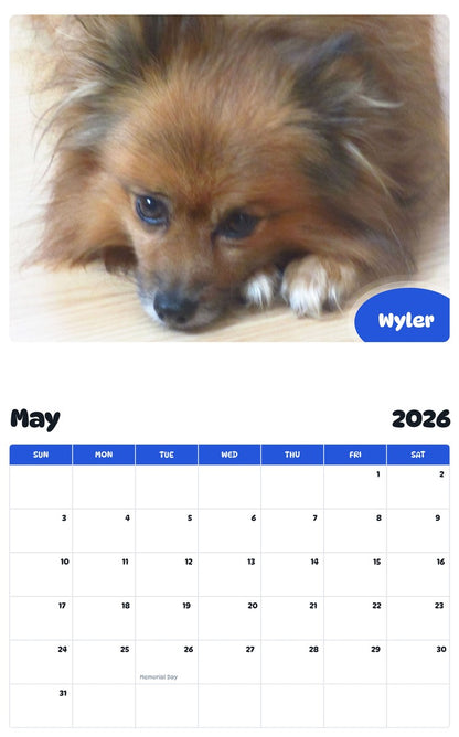 2026 - 2027 Wyler - Pawidols Pet Calendar