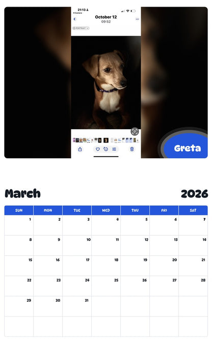 November 2025 - October 2026 Greta - Pawidols Pet Calendar