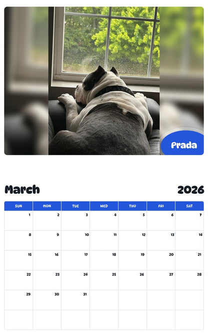 November 2025 - October 2026 Prada - Pawidols Pet Calendar