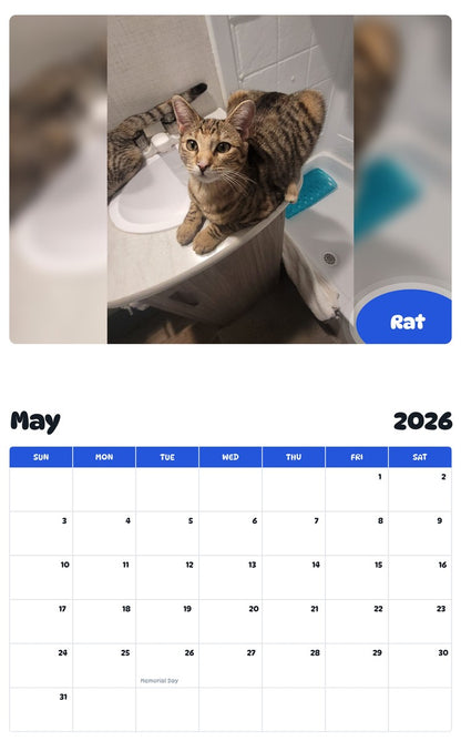2026 - 2027 Rat - Pawidols Pet Calendar