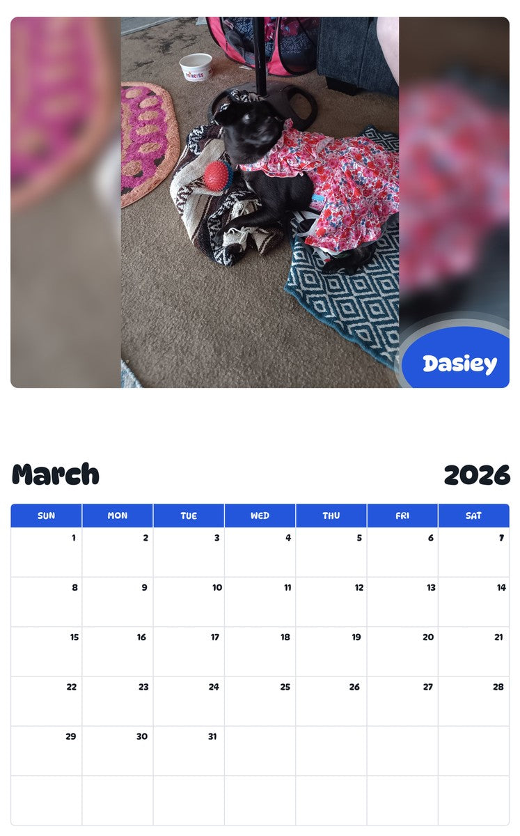 November 2025 - October 2026 Dasiey - Pawidols Pet Calendar